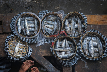 Ubud, Bali Traditional Public Market. Colorful fish can be purchased at the Ubud, Bali public market in the cultural heart of this fantastic Indonesian island. Here, mackerel is being sold.