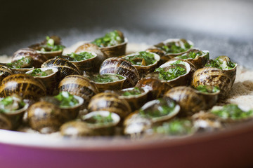 Baked snails in a garlic parsley butter on a pan with bread crumbs. Garden snails cooked at home as escargots recipe. Selective focus. 