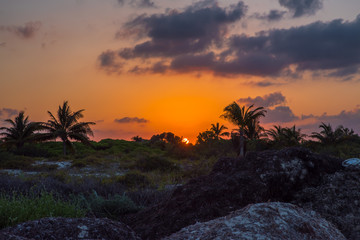 Fototapeta na wymiar Mexican sunset
