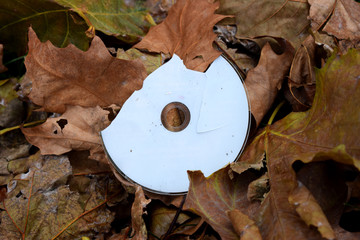 CDs entre las hojas otoñales.