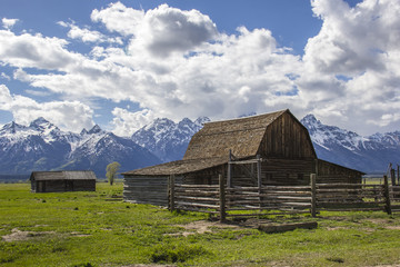 Abandoned Homestead