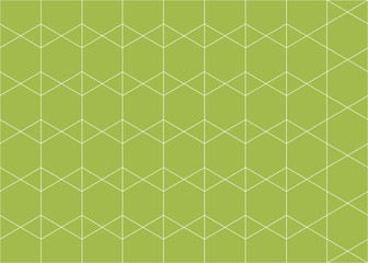 Fototapeta na wymiar ornament of white grid on a green background