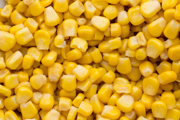 Bulk of yellow corn grains texture.