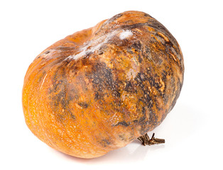 pumpkin with mold isolated on white background