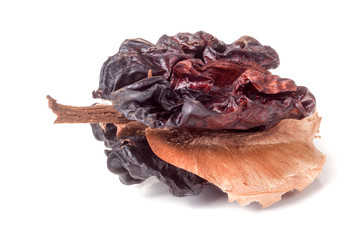 spoiled walnut isolated on a white background closeup