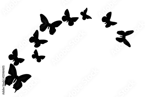 Free Free 301 Butterfly Trail Svg SVG PNG EPS DXF File