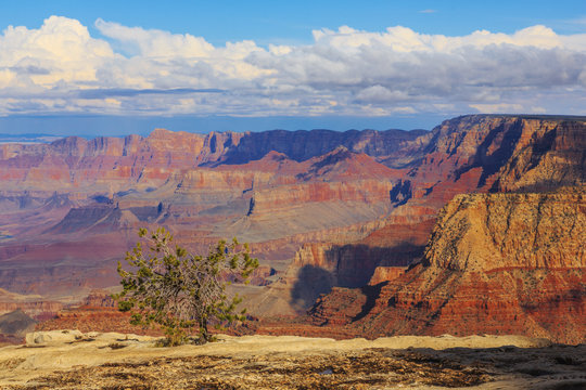Incredible scenic view of breathtaking landscape in Grand Canyon