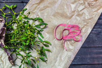 Green mistletoe on paper