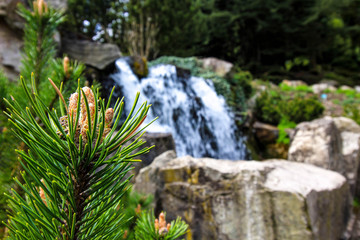 Ast vor Wasserfall