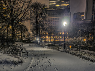 Central Park, New York City night
