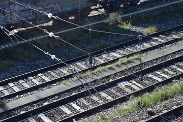 Fototapeta premium Vías de trenes.