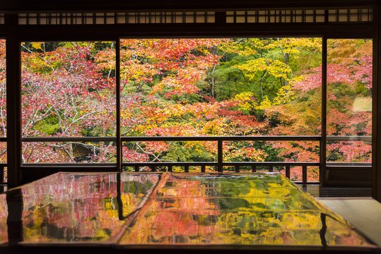 Fototapeta Autumn Japanese garden of Rurikoin temple, Kyoto, Japan