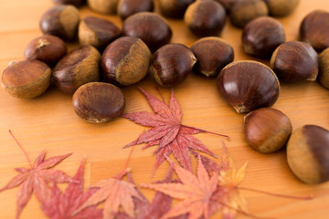 Autumn season with maple leaves and chestnut