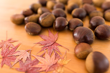 Autumn maple leaves and chestnut