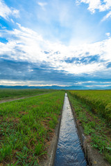 水路のある風景