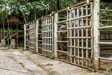 Chiang Mai, Thailand