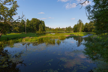 Obraz premium Sunny afternoon Palace Park landscape