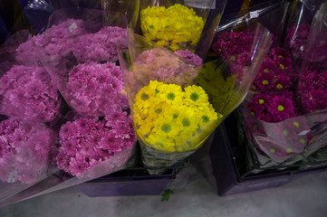 Fresh Colorful Flower in Supermarket