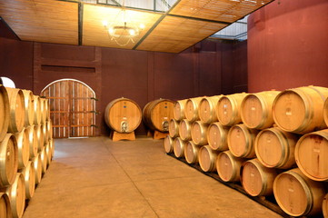 Wine barrels at the winery Viu Manent.
