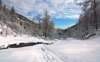 Spring in the mountains of Khamar-Daban