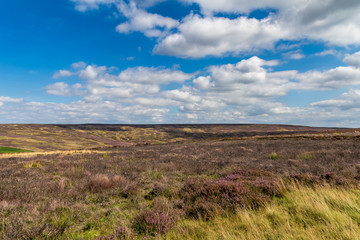 North York Moors near Percy Cross, North Yorkshire, UK