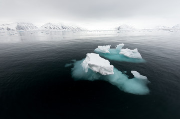 Alone iceberg floating in water