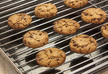 Rows of freshly baked chocolate chips cookies on baking tray