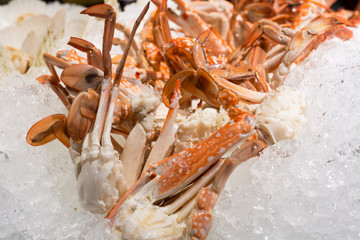 close up of cooked blue crab on ice