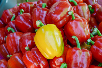 a yellow bell pepper in red bell peppers, different concept