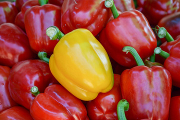 a yellow bell pepper in red bell peppers, different concept