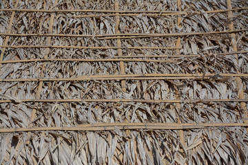 dry palm leave roof 