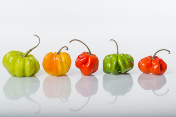 piment/poivron antillais