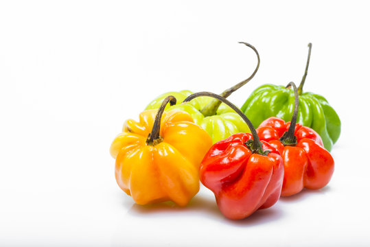 poivron antillais/piment habanero