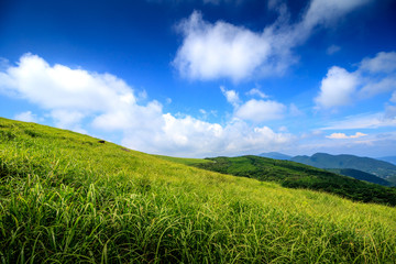 Obraz premium 川内峠＠長崎県平戸市