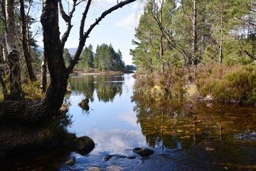 Lake in Scotland