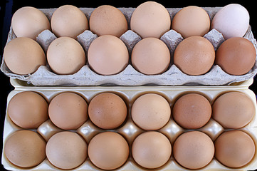 Crates of Brown Eggs