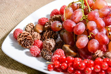 winter fruits italian