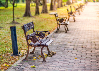 Chairs in public park, Bangkok, Thailand