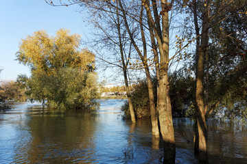 inondation sur berges de Seine en banlieue de Paris