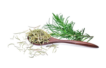 Rosemary fresh and dried on white background