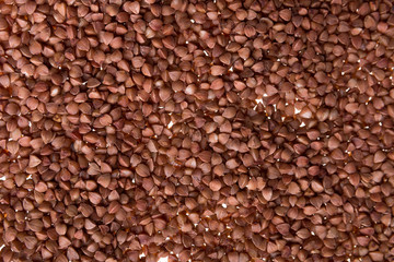 Buckwheat on a white background. Isolated. Close up. texture