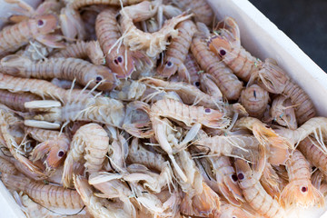 Fresh sea fish hooked. Shrimp