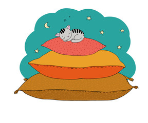 Beautiful pillows and cute cat on a white background.