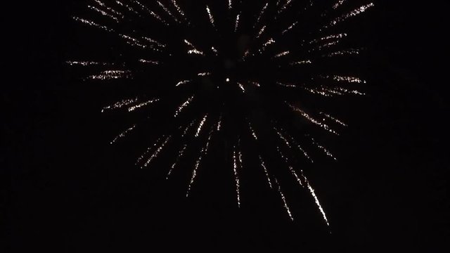 New Year fireworks on night sky