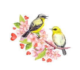Birds on blossom branch with flowers. Watercolor