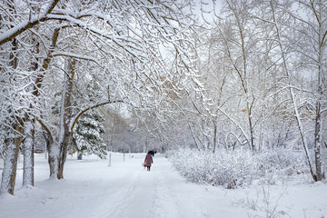 Siberian city after a snowfall