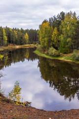 Reflection of trees in water of the river Mologa.