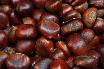 Fresh raw chestnuts (marrons) close up