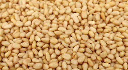 Peeled pine nuts close up high angle