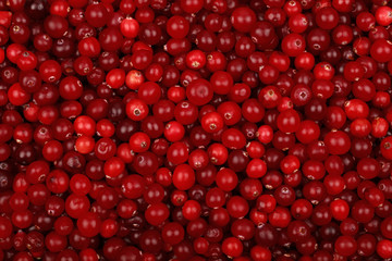 Fresh red ripe cranberries background top view